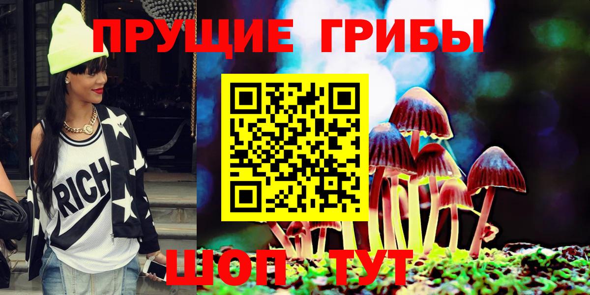 Псилоцибиновые грибы Psilocybe  Псилоцибиновые грибы Psilocybe  купить наркотик  Нижний Новгород  Вход с VPN 
